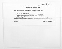Stagonospora fuckelii image